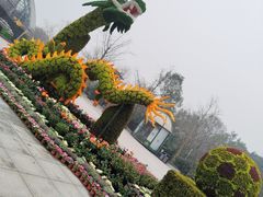 -南山植物园