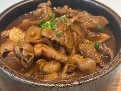 -芙蓉凰花园酒楼