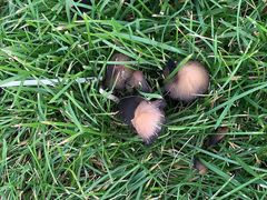 -潭柘厚院&山顶烤肉(潭柘寺店)