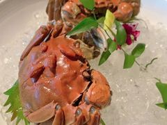 -蟹榭·本帮江浙菜·蟹宴(五角场合生汇商场店)