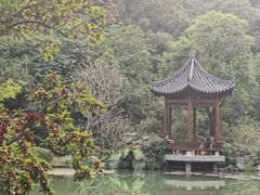 -云溪植物园