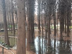 -捞渔河湿地公园