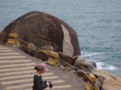 -广东惠东海龟国家级自然保护区