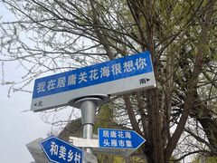 -居庸关长城