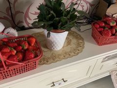 -胜丰草莓采摘园