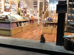 -猫的天空之城概念书店(杭州南宋御街店)