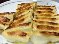 猪肉白菜锅贴-天津锅贴(火车站西路店)