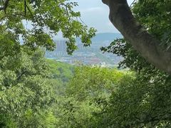 -灵岩山风景区