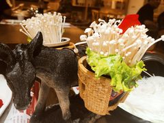 -刘一锅筋头巴脑(小北店)