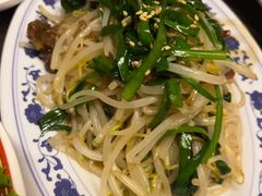-拉面莊夢語＆中华料理八椿