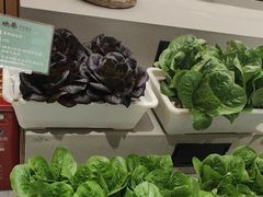 -九孔·筒骨莲藕汤锅(大明宫万达店)