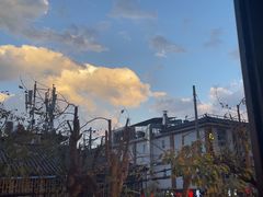 -老渔家·白族·石板烧.野生菌火锅(大理古城叶榆路店)