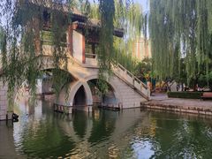 -团结湖公园