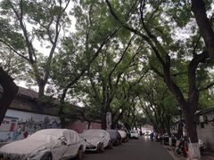 -北京国子监胡同