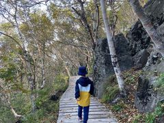 -白草畔自然风景区