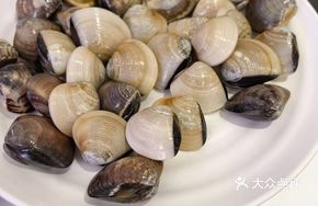 Rose Shellfish