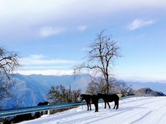 -太子岭滑雪场