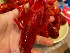 -靓靓蒸虾·头牌蒸虾(南山桂庙店)