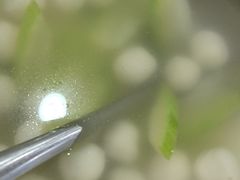 -考记泥焗鸡农庄·海鲜(北洛秘境店)