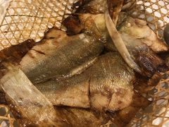 -翠亭酒家(山西南路店)