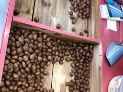 -阿男野栗王(金门路店)