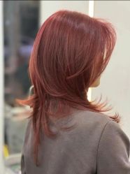 -镁连社·美联社