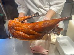 -侨美食家·40年地道粤菜(珠江新城店)