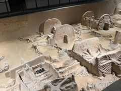 -洛阳周王城天子驾六博物馆