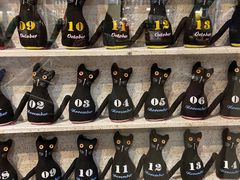-猫咪博物馆(顶澳仔猫街店)