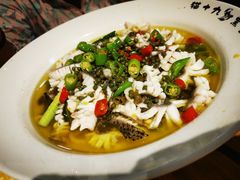 -三猫黑鱼花(南大店)