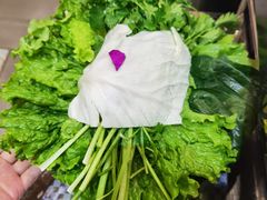 -德龙火锅(松源街直营店)