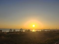 -合肥滨湖国家森林公园