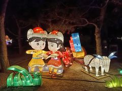 -南宫五洲植物乐园