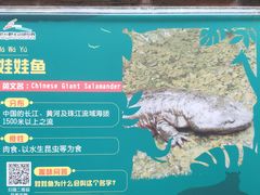 -杭州野生动物世界