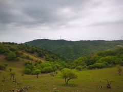 -关山草原