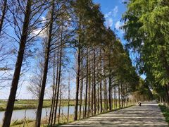 -上海海湾国家森林公园