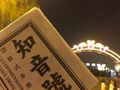 -武汉知音号
