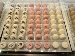 -BLACKSWAN黑天鹅(环球店)