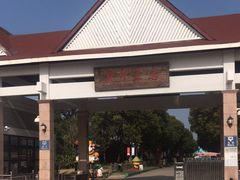 -上海都市菜园