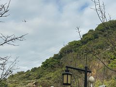 -小南山公园