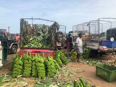 -尼甘布海鲜市场