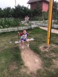 -上美四季动物农场