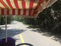-日照海滨国家森林公园