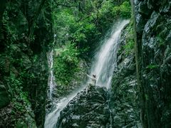 -阳台山森林公园