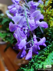 -今日陶艺(富力广场店)