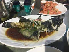 -四川小胡子海鲜(丁村万人海鲜广场店)