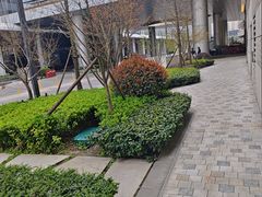 -东方体育中心(地铁站)