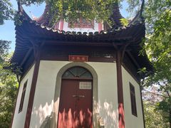 -上海佘山国家森林公园天马山园