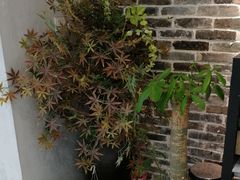 -江渔兒酸菜魚專門店(顺盈时代广场店)