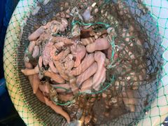 -必点海鲜·海肠捞饭大王(滨江道店)